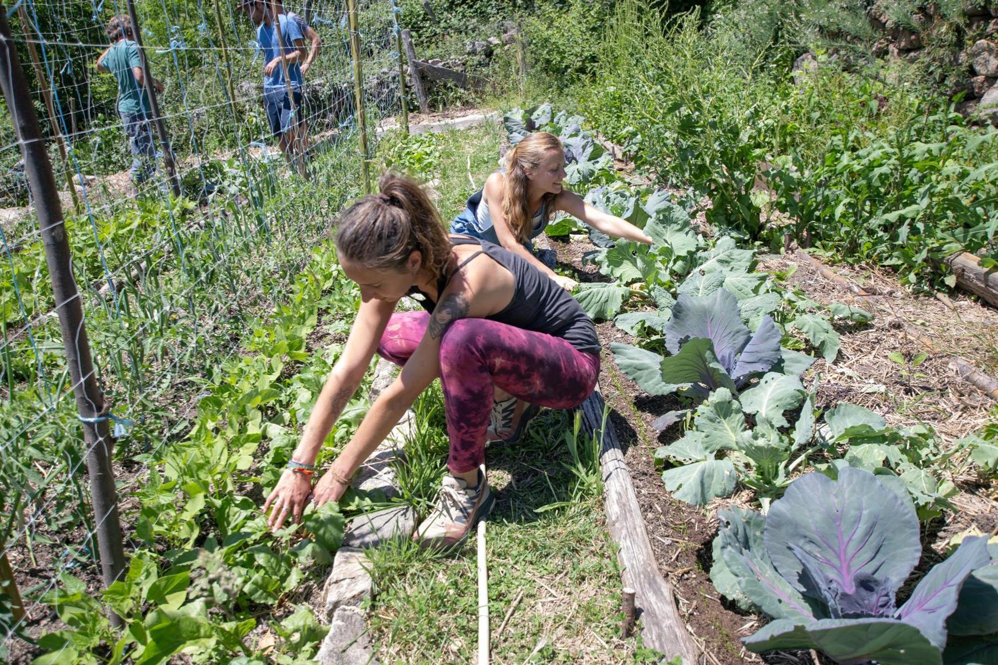 Les Chambres De La Ferme De Chalas Valgorge 外观 照片