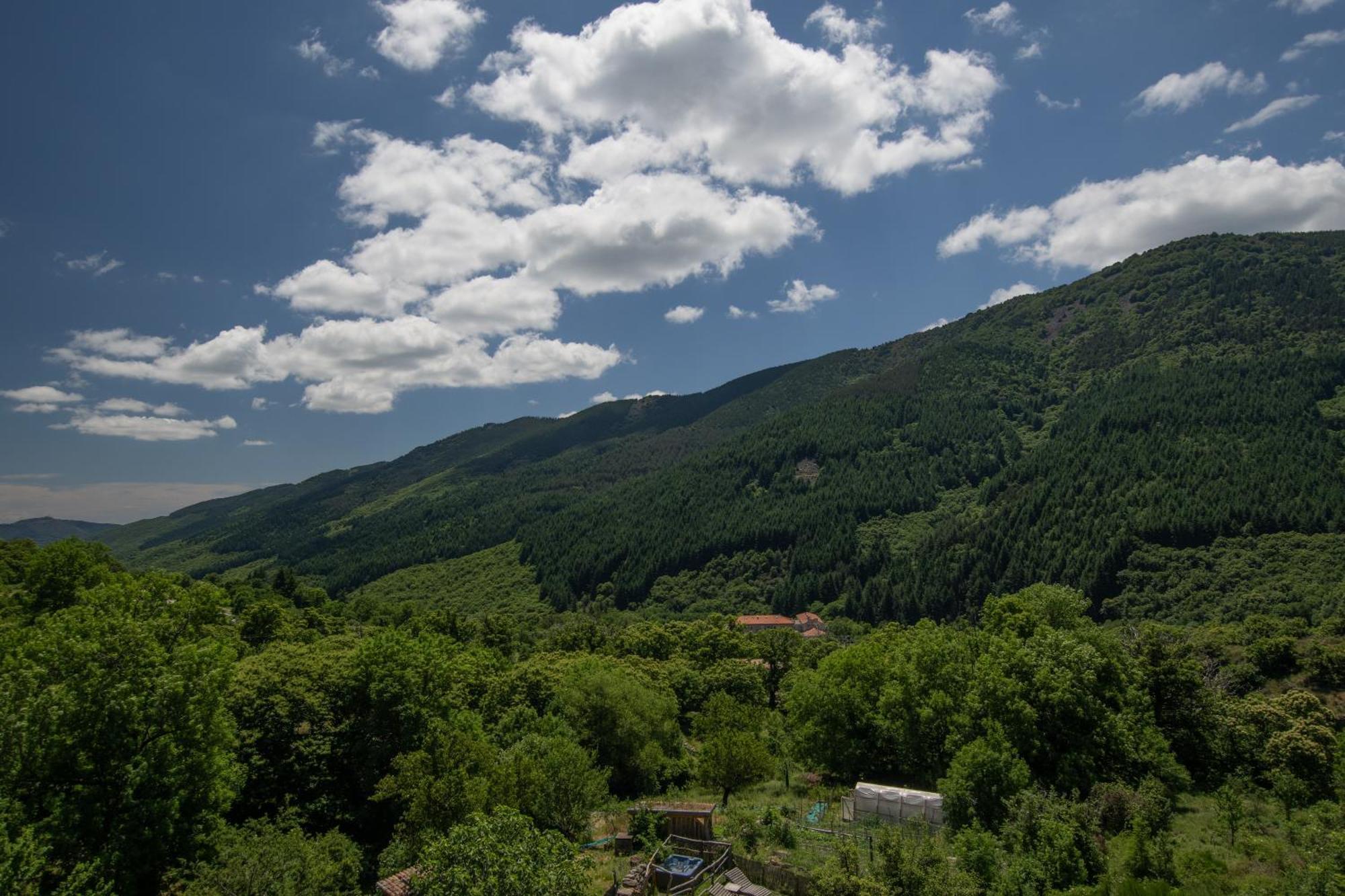 Les Chambres De La Ferme De Chalas Valgorge 外观 照片
